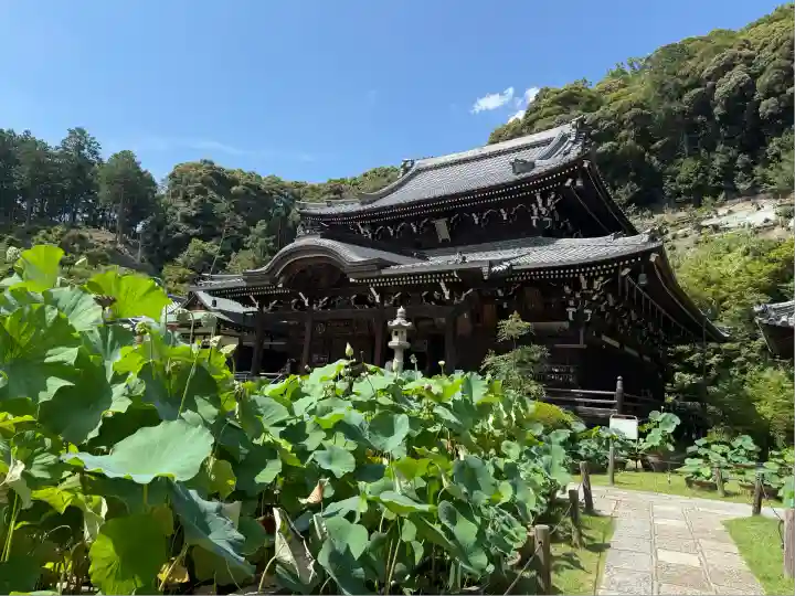 三室戸寺(京都府)