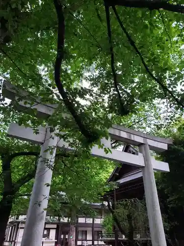 熊野神社の鳥居