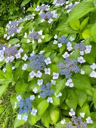 六孫王神社(京都府)
