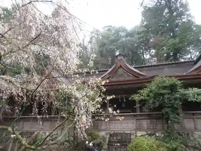 吉野水分神社（吉野町）のその他建物