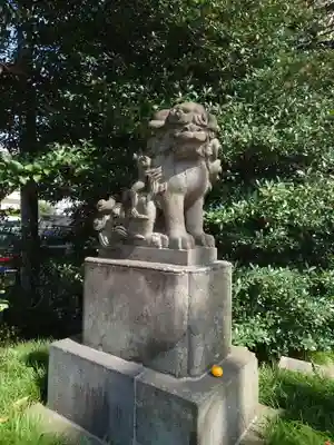 松戸神社の狛犬