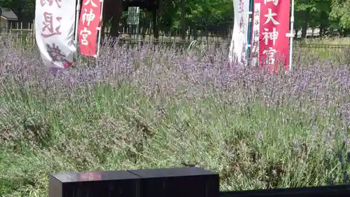 櫻岡大神宮の庭園