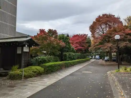 護国寺(東京都)
