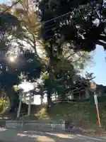 御嶽神社の鳥居