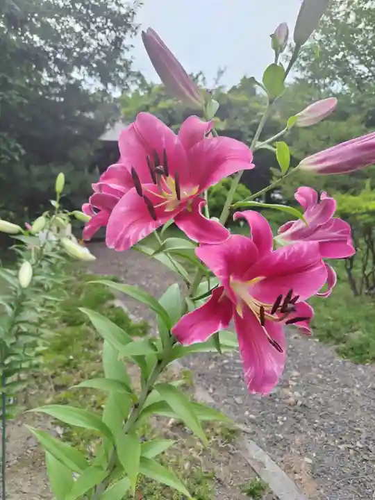厚別神社(北海道)