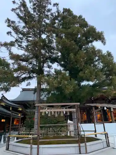 寒川神社の自然