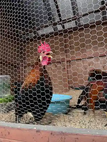 大甕神社(茨城県)