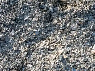 大魚神社の{uncategorized: "未分類", other: "その他", undefined: "問題あり", building: "その他建物", grave: "お墓", sacred_gate: "鳥居", guardian: "狛犬", statue: "像", buddha: "仏像", history: "歴史", nature: "自然", garden: "庭園", animal: "動物", pagoda: "塔", temizu: "手水舎", mountain_gate: "山門・神門", sanctuary: "本殿・本堂", subordinate: "末社・摂社", art: "芸術", scenery: "景色", jizo: "地蔵", ema: "絵馬", goshuin: "御朱印", omikuji: "おみくじ", items: "授与品その他", amulet: "お守り", goshuincho: "御朱印帳", eats: "食事", festival: "お祭り", votive_dance: "神楽", shichigosan: "七五三参", wedding: "結婚式", experience: "体験その他", initially: "初詣", around: "周辺", anti_infection: "感染症対策"}