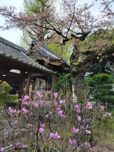 寛永寺開山堂(東京都)