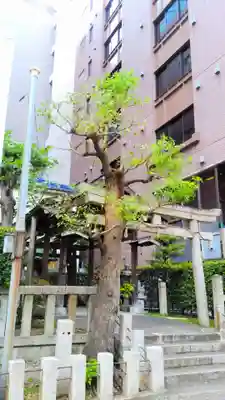 大直禰子神社のその他建物