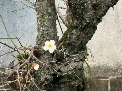 伊勢の国 四天王寺(三重県)