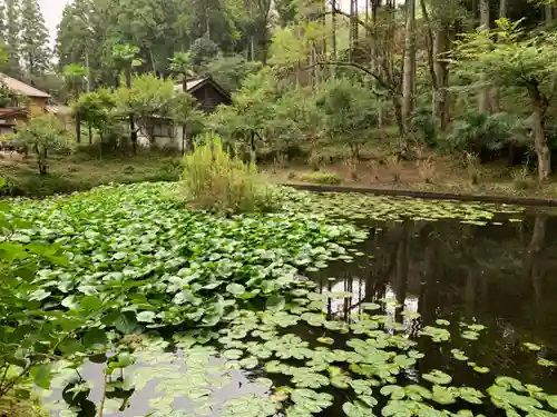 真勝寺の庭園