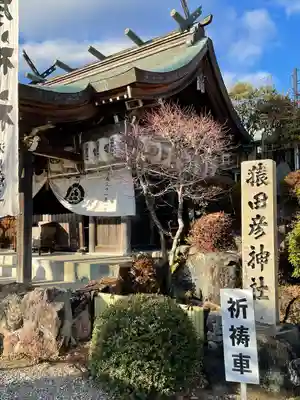 猿田彦神社の本殿・本堂
