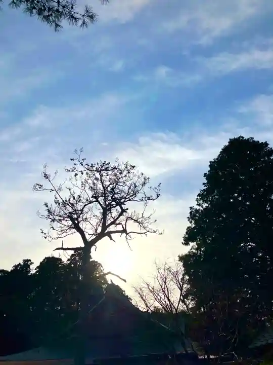 鹿島神宮の{uncategorized: "未分類", other: "その他", undefined: "問題あり", building: "その他建物", grave: "お墓", sacred_gate: "鳥居", guardian: "狛犬", statue: "像", buddha: "仏像", history: "歴史", nature: "自然", garden: "庭園", animal: "動物", pagoda: "塔", temizu: "手水舎", mountain_gate: "山門・神門", sanctuary: "本殿・本堂", subordinate: "末社・摂社", art: "芸術", scenery: "景色", jizo: "地蔵", ema: "絵馬", goshuin: "御朱印", omikuji: "おみくじ", items: "授与品その他", amulet: "お守り", goshuincho: "御朱印帳", eats: "食事", festival: "お祭り", votive_dance: "神楽", shichigosan: "七五三参", wedding: "結婚式", experience: "体験その他", initially: "初詣", around: "周辺", anti_infection: "感染症対策"}