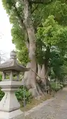 細江神社の自然