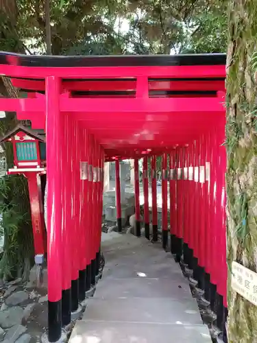 乃木神社の鳥居