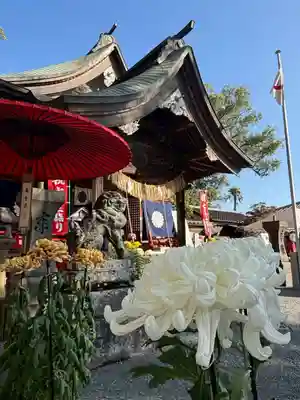 美奈宜神社(福岡県)