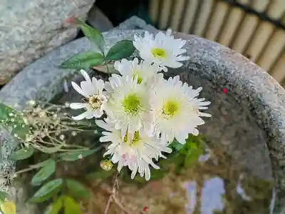 高砂神社(大阪府)