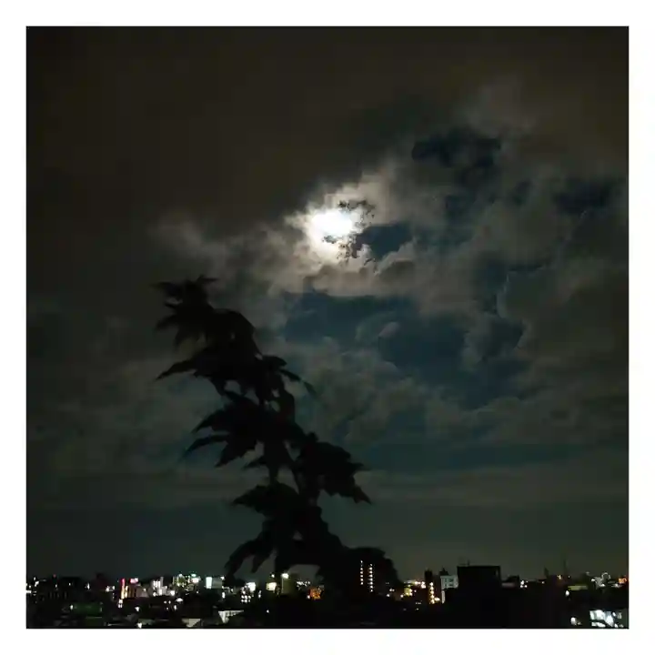 岐阜稲荷山本社(岐阜県)