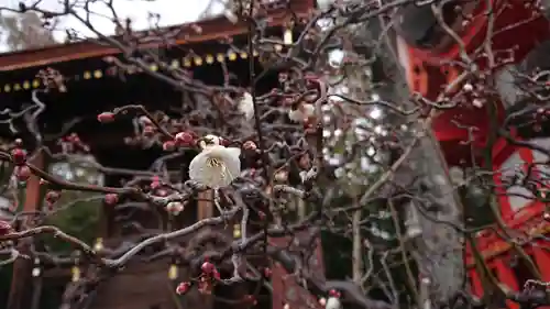 北野天満宮(京都府)