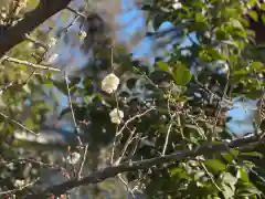 伊勢の国 四天王寺の自然