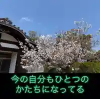 一乗院(和歌山県)