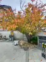 長楽寺(和歌山県)