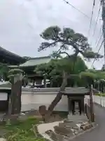 阿彌陀寺(東京都)