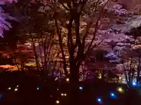 土津神社|こどもと出世の神さまの景色