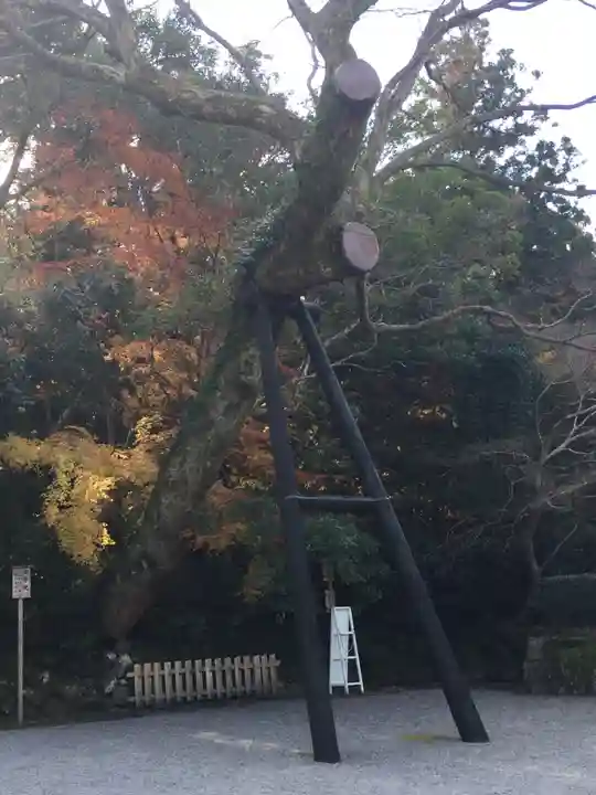 伊勢神宮外宮(豊受大神宮)の自然