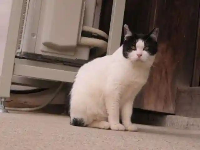 法隆寺(奈良県)