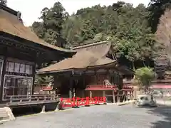 日吉大社の建物その他