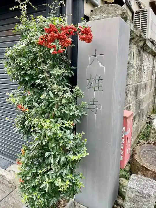 大雄寺(東京都)