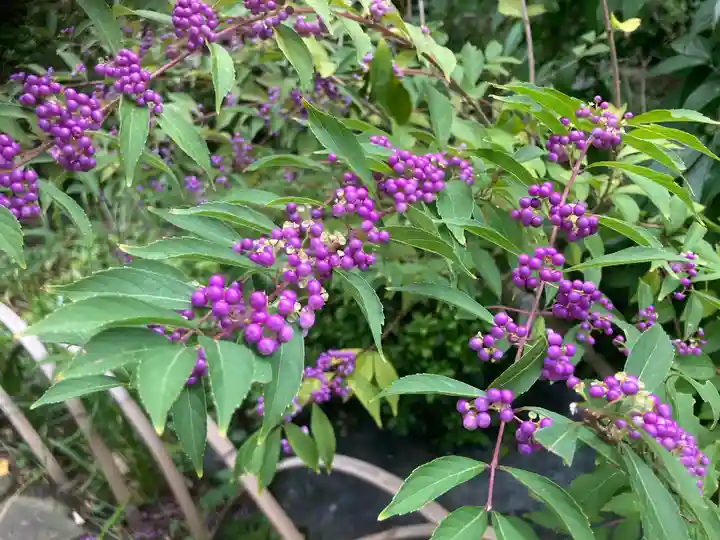 大巧寺(神奈川県)