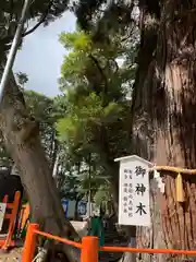 息栖神社(茨城県)