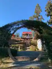 津島神社の建物その他