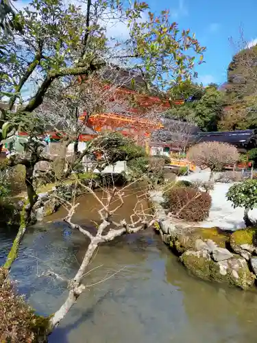 賀茂別雷神社（上賀茂神社）(京都府)