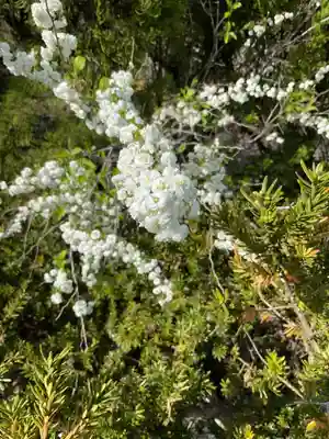 恵利寺(岐阜県)