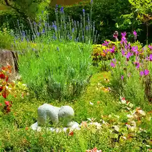 寿量山 速成寺(奈良県)(2022年05月24日(火) 08時00分36秒投稿)