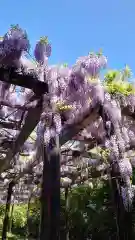 相馬神社の自然