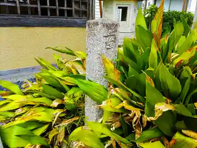 逆川社のその他建物