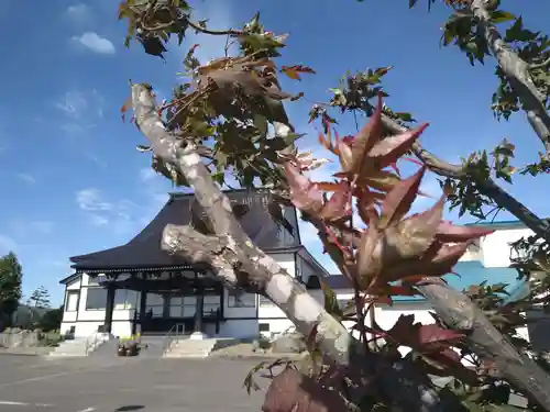 雨竜　専福寺(北海道)