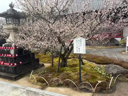 岩津天満宮の自然