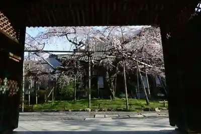 毘沙門堂門跡(京都府)