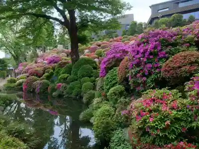 根津神社(東京都)