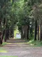 千代ケ岡八幡宮(栃木県)