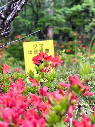 山の神神社(長野県)