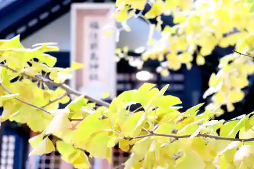 福住厳島神社の自然