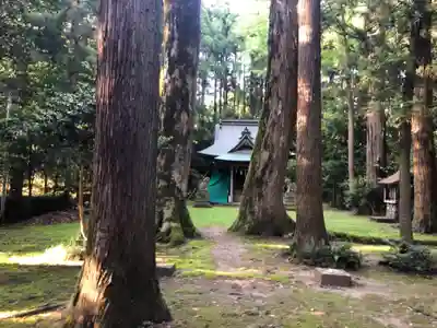 戸神社の自然