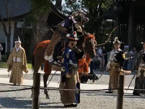 寒川神社のお祭り